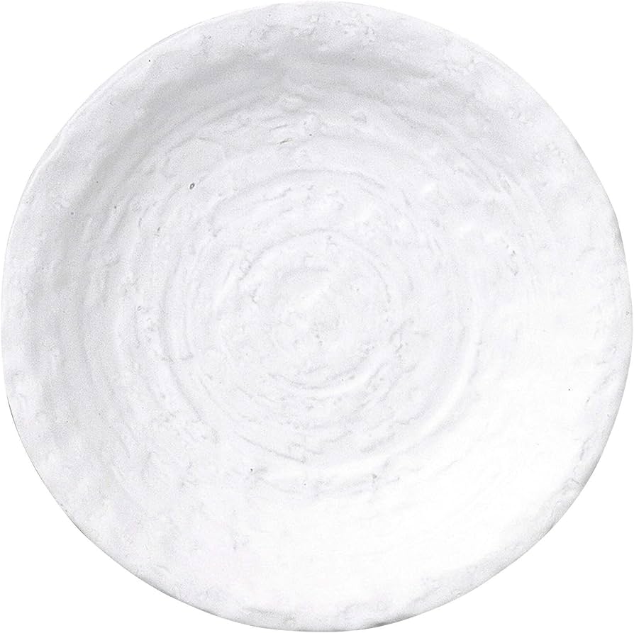 大皿　直径42cm Amazon｜まるか光洋 大皿 ねーじゅ 直径25.5×高さ3.5cm 業務用