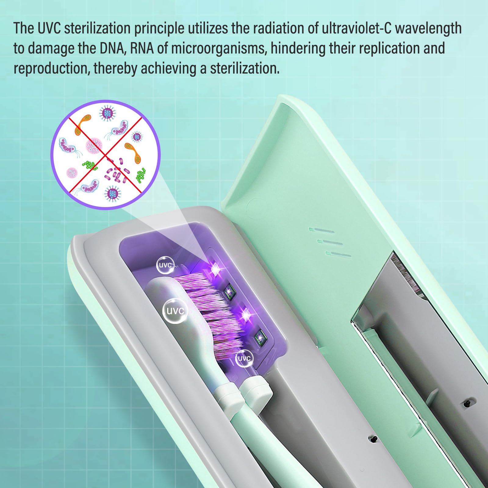 YourMate Funda desinfectante UVC para cepillo de dientes de viaje, funda para viaje de negocios o viaje de negocios, alimentación por batería AA o cable USB-C, color verde