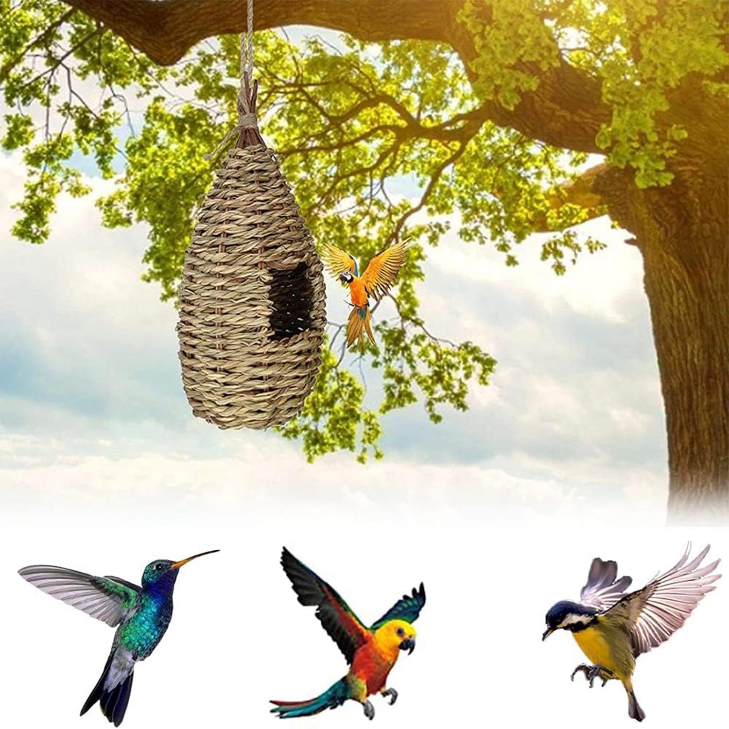 2 Nidi Per Uccelli In Erba Intrecciata A Mano - Casetta Appesa Per Esterno Per Canarini, Pappagallini - Naturale E Resistente - Foto 5