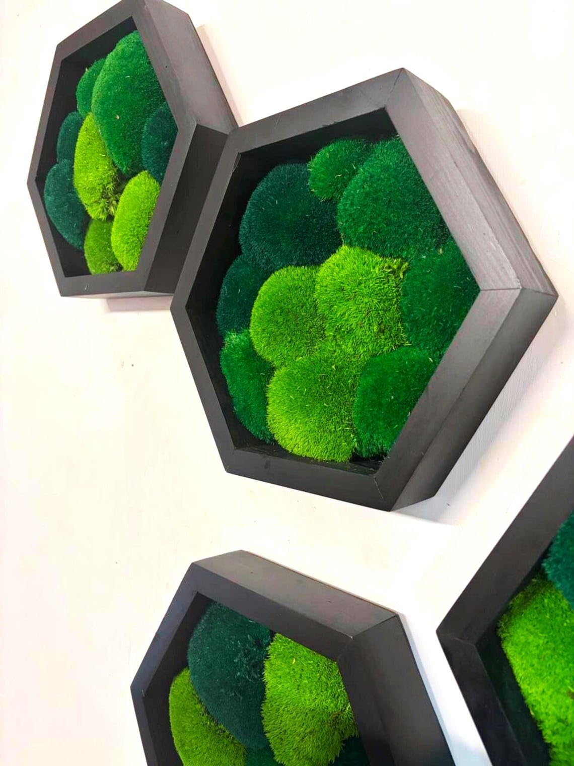 Moss Hexagons