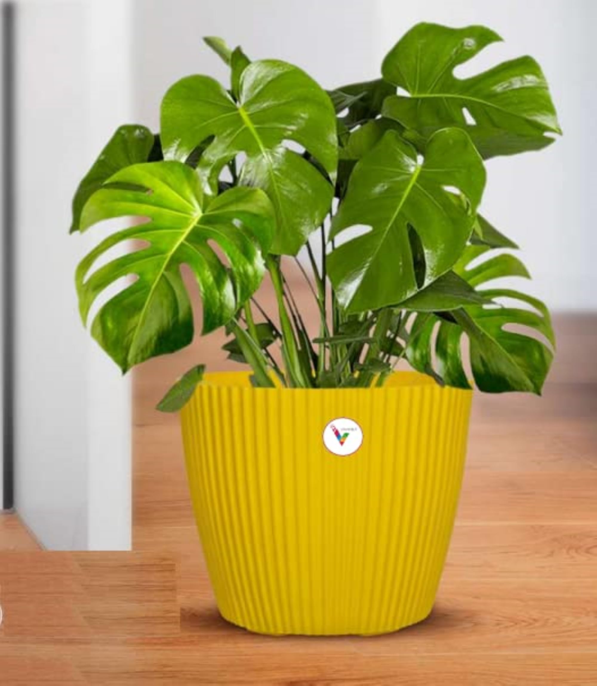 VINSHRA Mega Plastic Flower Pot, Yellow, 11 Inch, 2 Pieces for Garden Terrace Balcony Patio Nursery Indoor Large Flower Pots for Home Office Decor Lightweight Weather Durable Uv Resistant