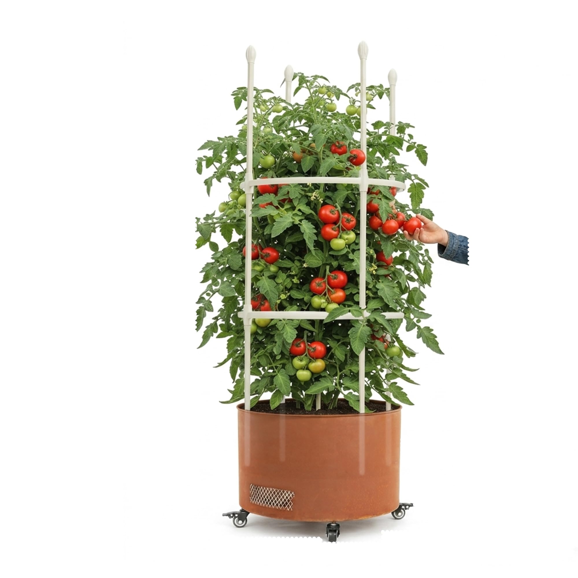 blumenkasten mit spalier wei Pflanzkasten mit Spalier & Rankgitter aus Cortenstahl  Sichtschutz  Der  Stahlgarten