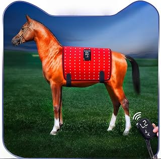 Equine Red Light Therapy for Horse Back,375 LED Three core Chips