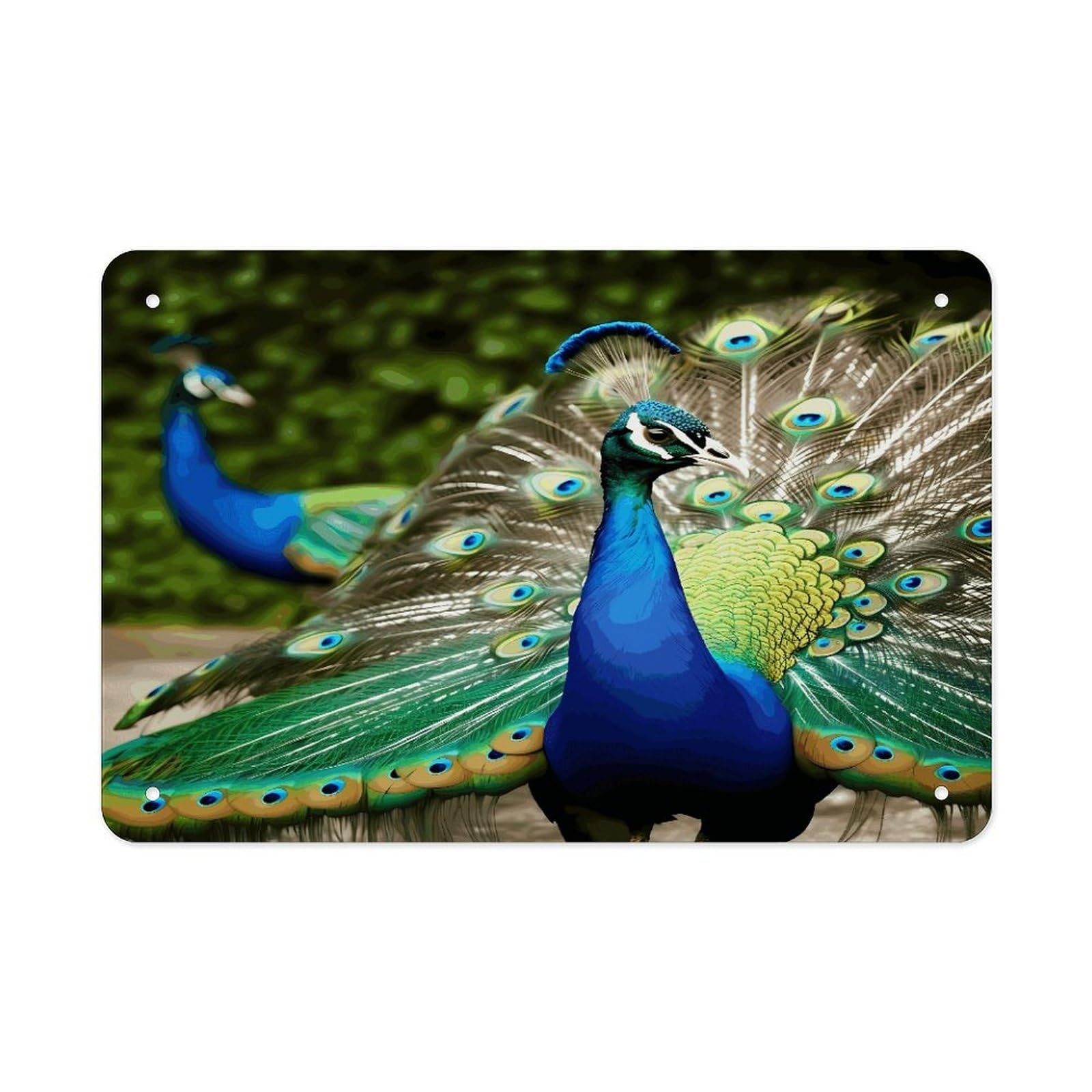 Beautiful Peacock Metal Tin Sign 12"x8" Wall Art Prints Poster Decorative Picture Metal Signboard Decor Painting Folded Edge Iron Sheet Painting with Holes for Wall Decor
