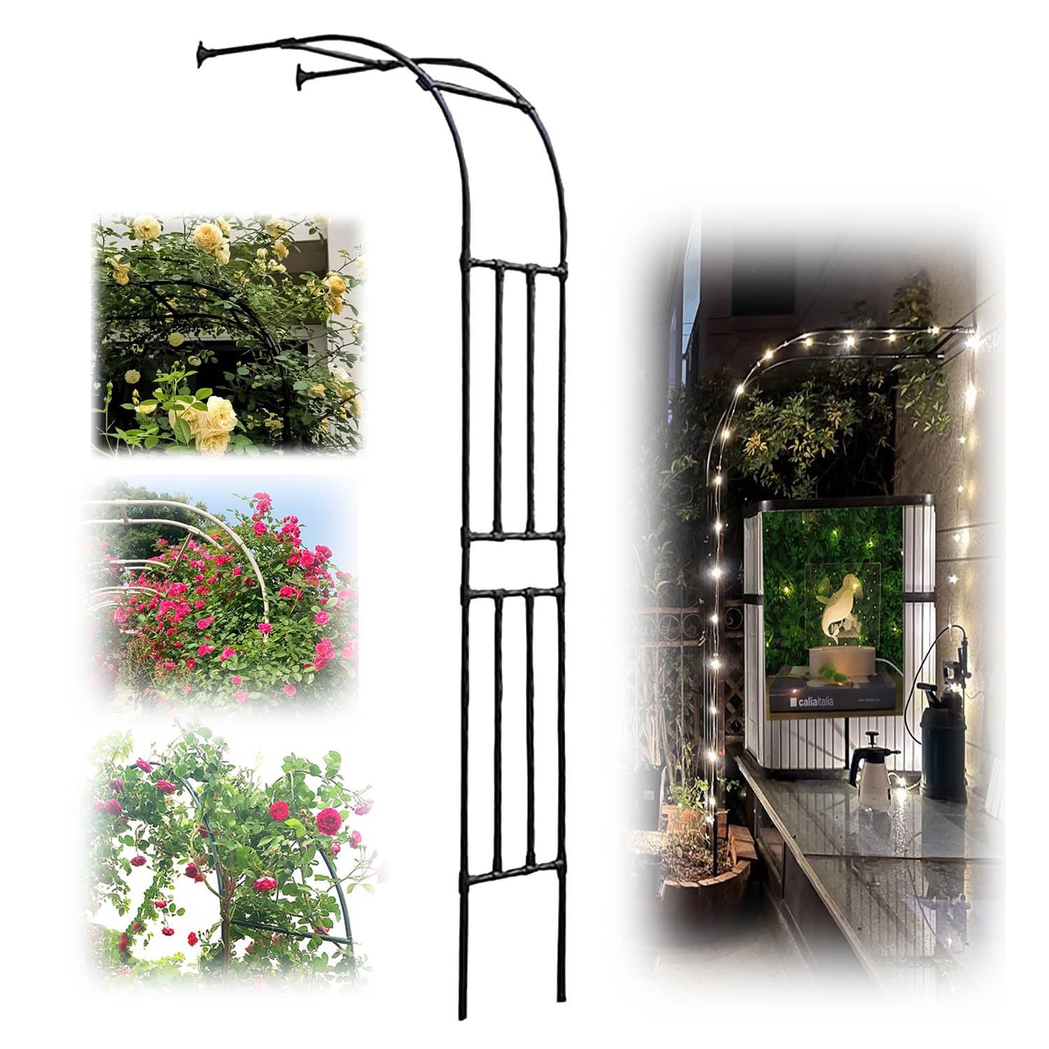 Tonnelle à demi-paroi résistante aux intempéries et arche de rose durable
