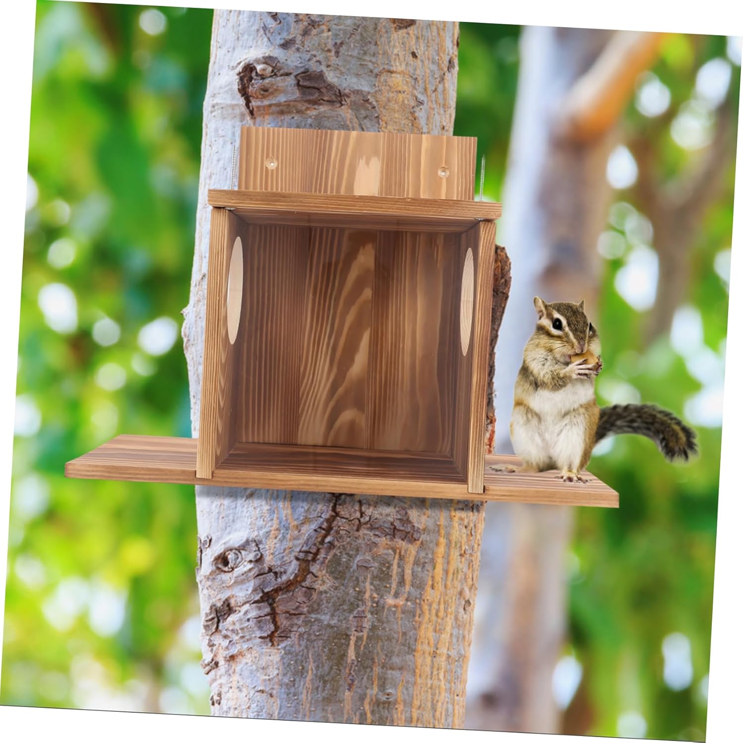 Squirrel Feeder for Outdoor Use Hanging Design to Attract Squirrels and Birds Your Garden Backyard Easy to Clean and Reusable Natural Material Feeder Box