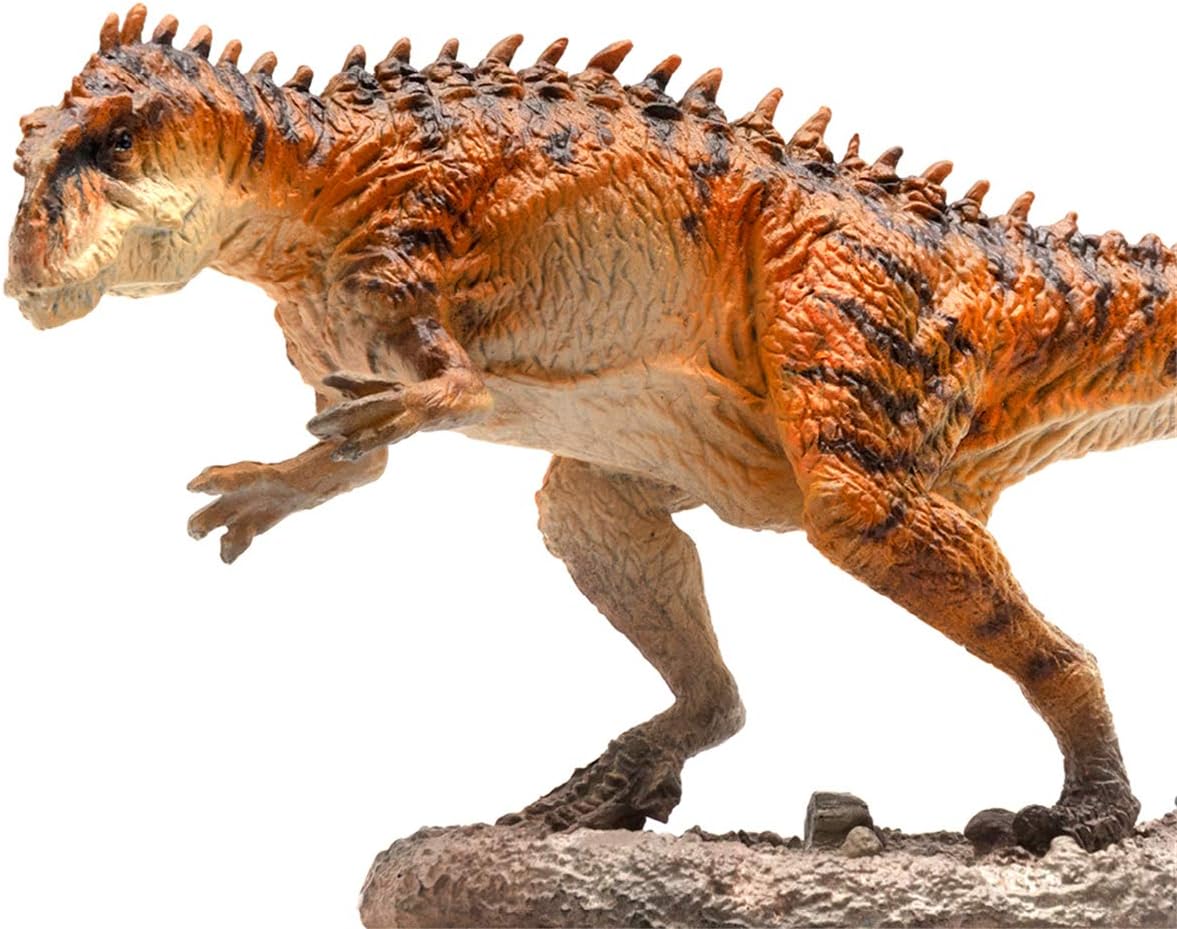 Yangchuanosaurus Dinosaur Chuanosaurus PVC Realistic Animal Models Collector Decor Gift