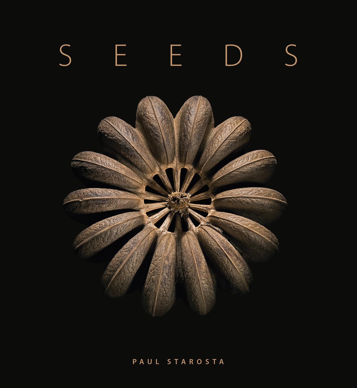 Seeds by Michel Butor HARDBACK 9791254600795