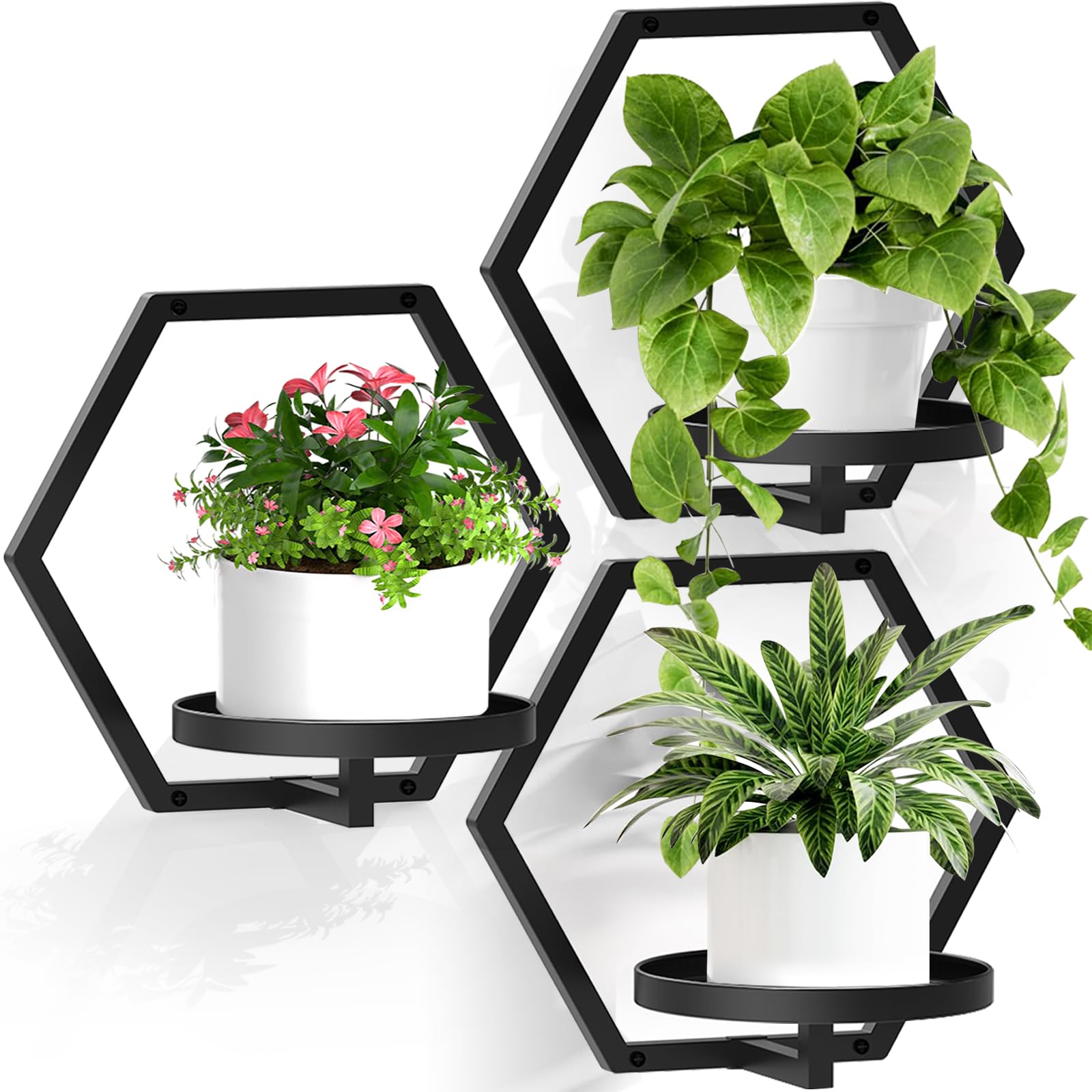 Lot de 3 pots de fleurs muraux pour plantes d'intérieur, support de plantes en métal de 20,1 cm, décoration murale, étagères de fenêtre à suspendre (noir)