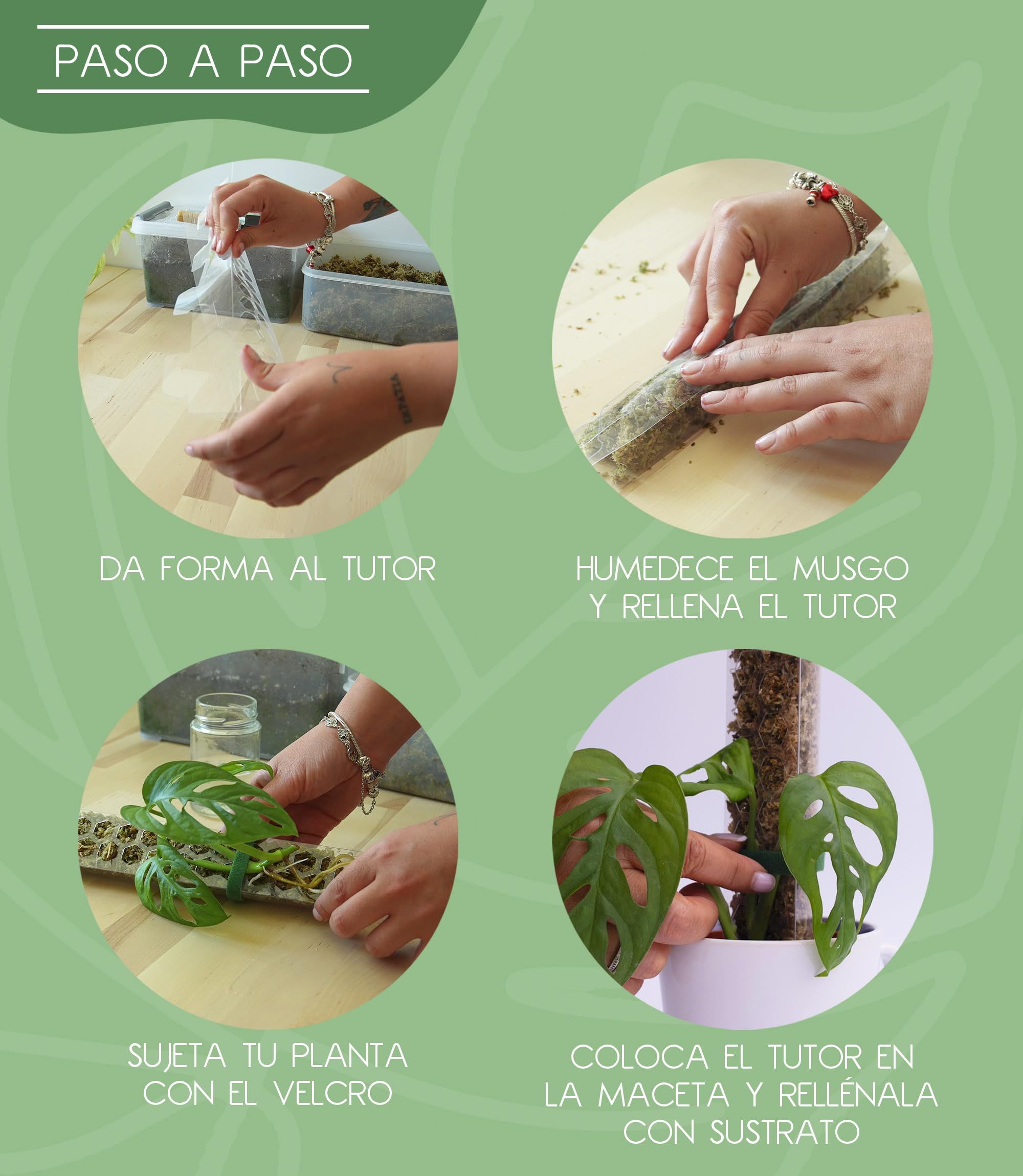 Set 6 Tutores de Musgo para Monstera Plantas Trepadoras de Interior Incluye Musgo Sphagnum 200g y Velcro 5m Tamaños L/M/S Soporte de Plastico Extensible Ideal Pothos Philodendron Aroides