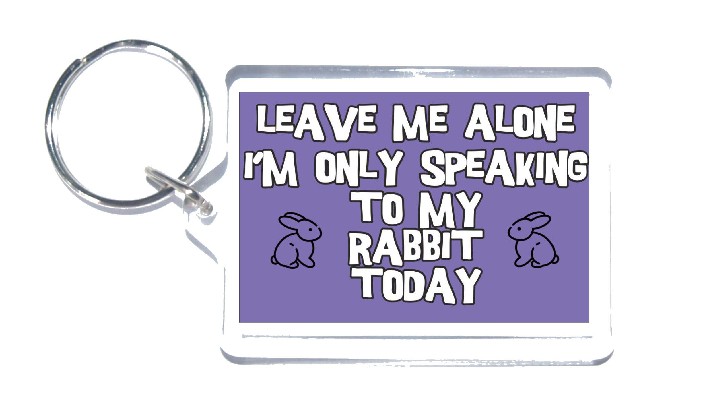 Fun Rabbit Gift - Leave Me Alone I'm Only Talking To My Rabbit Today - Novelty Keyring - Ideal Present