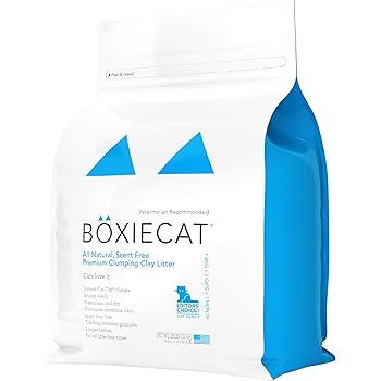 boxiecat litter
