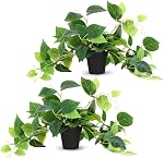Tiita Artificial Succulents Hanging Plants, Fake String of Pearls Plants in White Ceramic, Set of 2