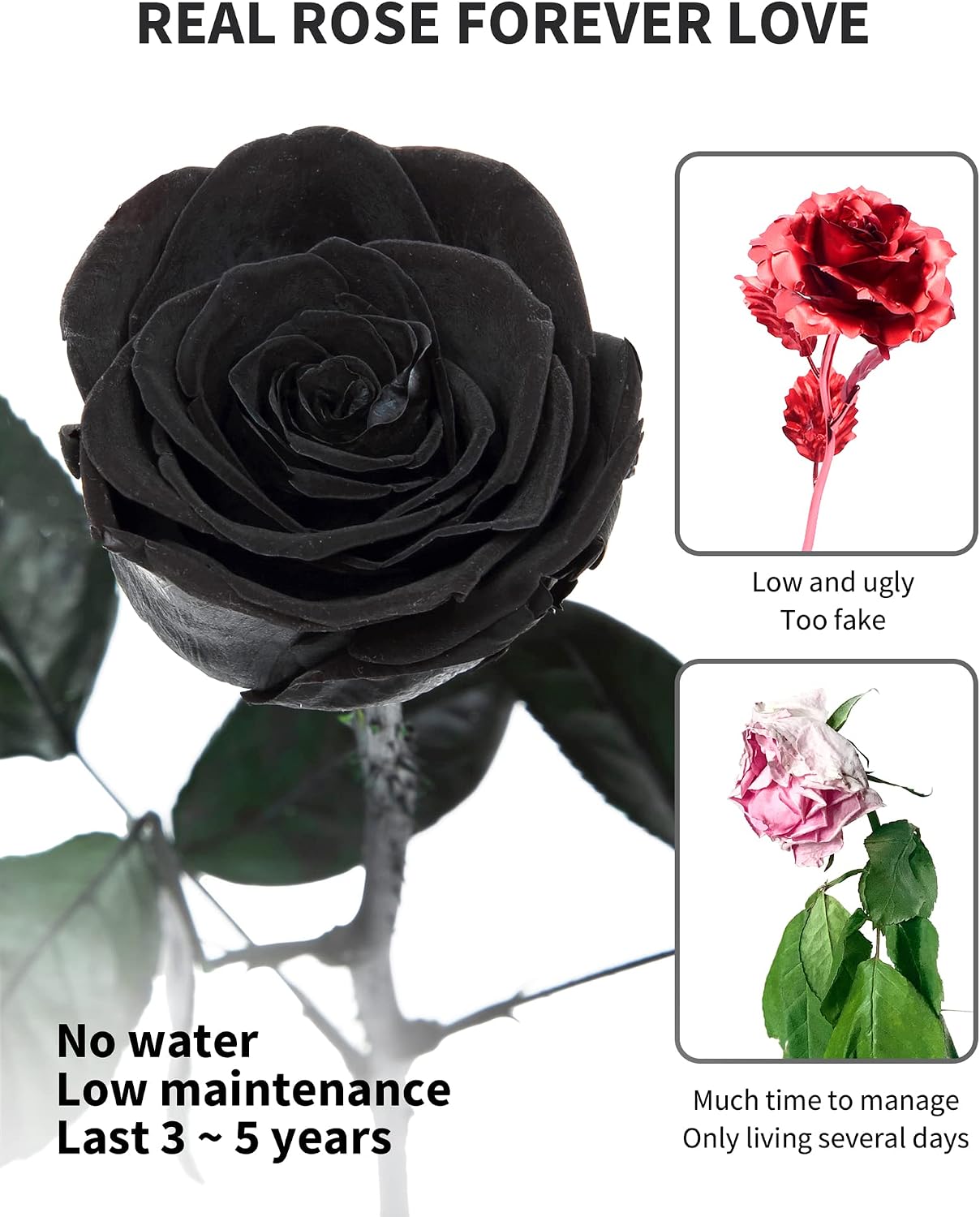 Preserved Rose, Preserved Flowers for Delivery Prime, Single Rose Flower Gifts for Women, Real Rose Presents for Her, Birthday Gifts, Valentines Flowers for Girlfriend - Black