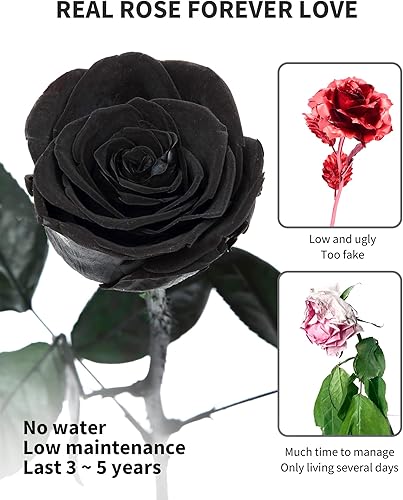 Miniatura 3 de Rosa preservada, flores preservadas para entrega Prime, regalos de rosa individual para mujeres, regalos de rosa real para ella, regalos de