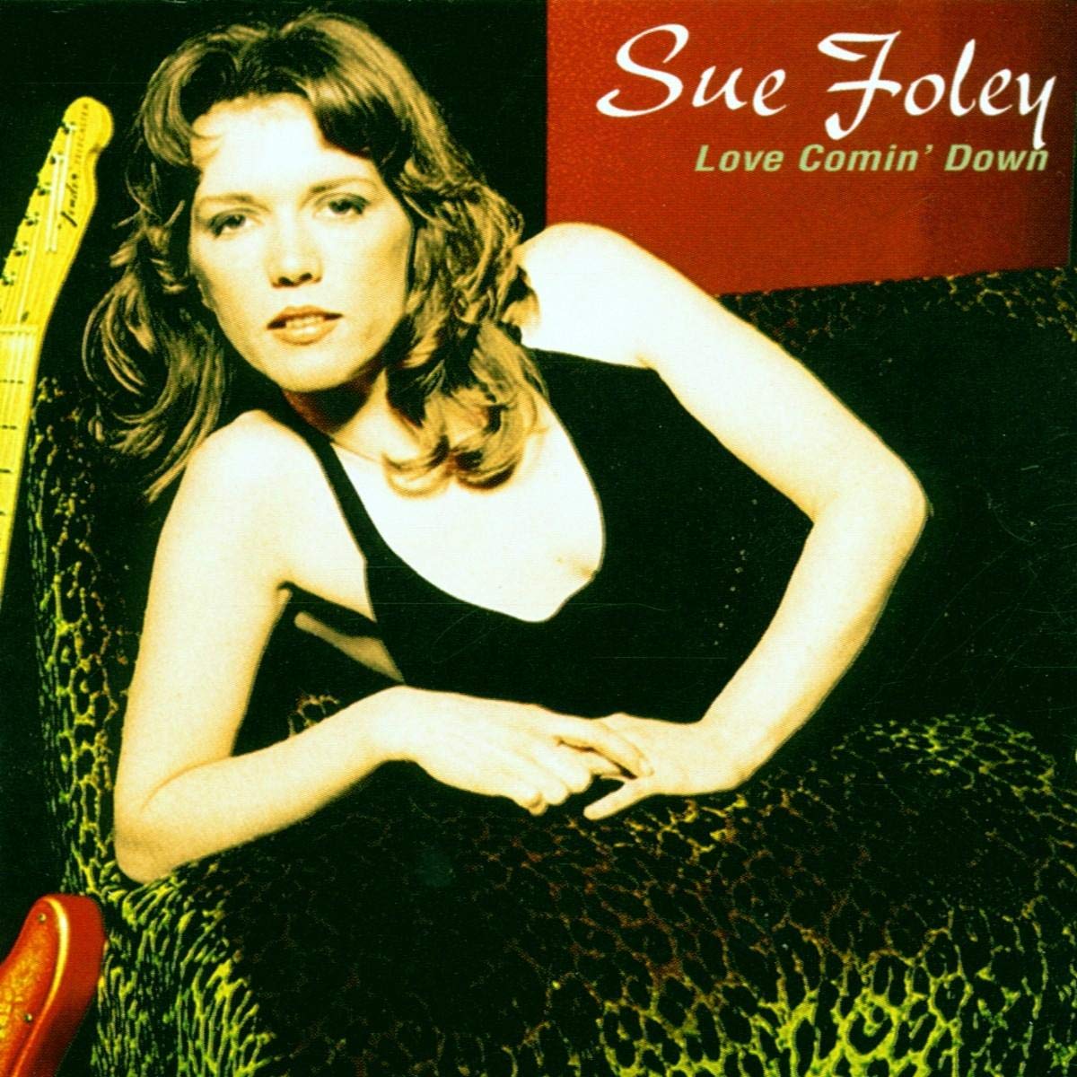 Love Comin Down [Audio CD] FOLEY,SUE