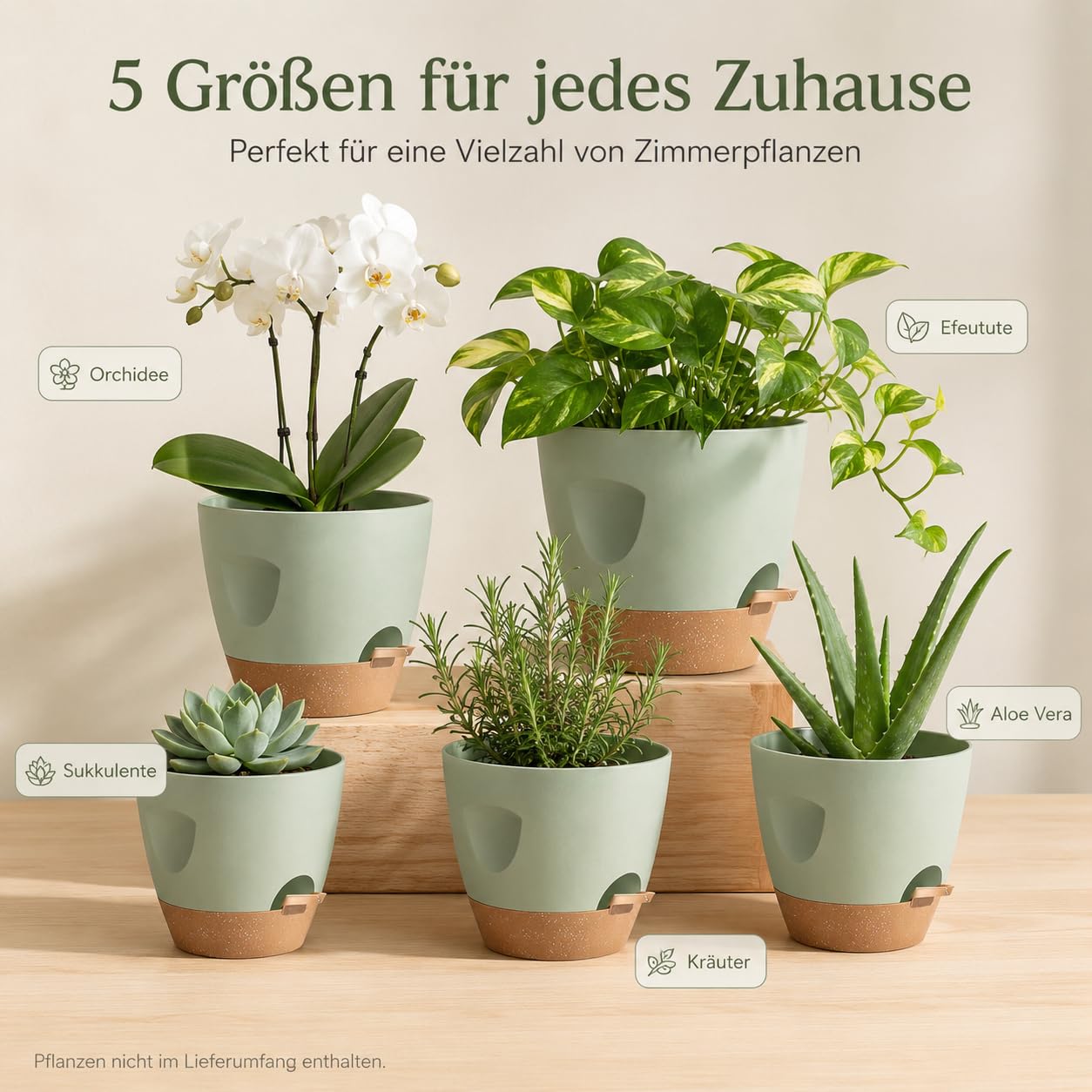 Lot de 10 pots de fleurs auto-arrosants, 5 tailles chacun