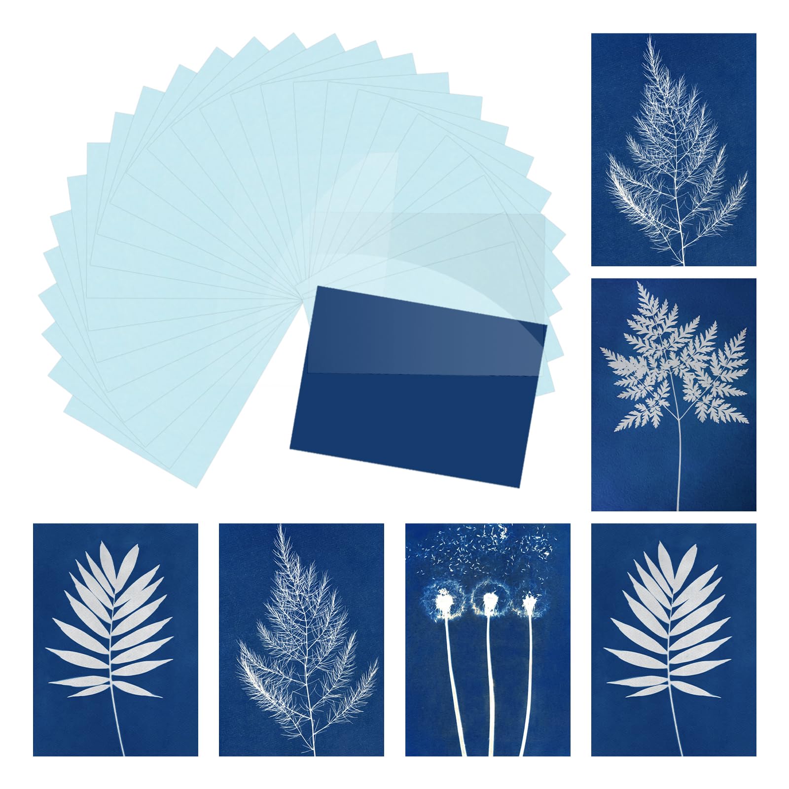 Papier cyanotype haute définition A5 avec plaque de pression acrylique stable - 8