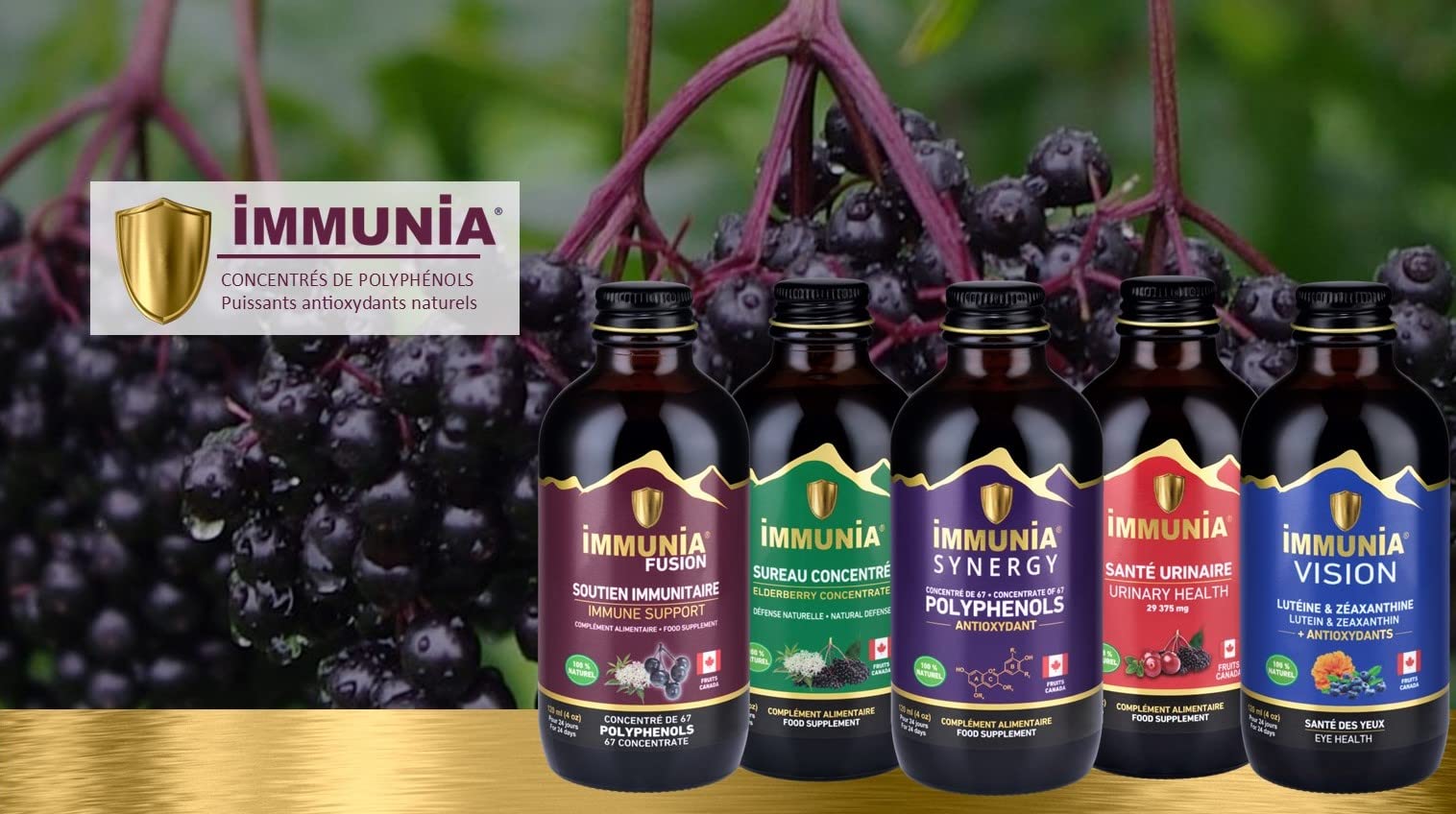Immunia SYNERGY. Polyphénols concentrés. Puissant antioxydant naturel. Baies de Sureau, Camerise, Bleuet sauvage, Cassis, Aronia. 67 antioxydants. Fruits du Canada. Délicieux (1-Pack)