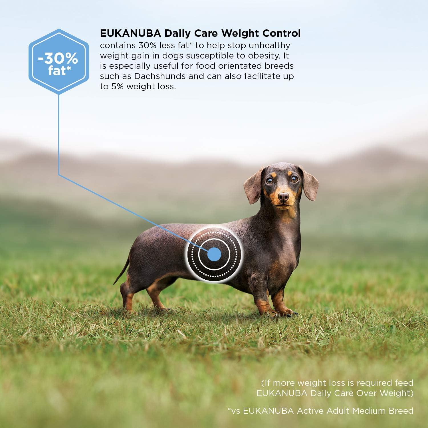 eukanuba weight control medium
