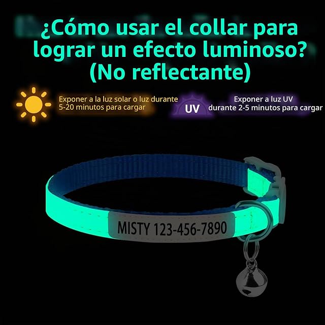 Foto 3 de 8 de Collar de gato personalizado que brilla en la oscuridad