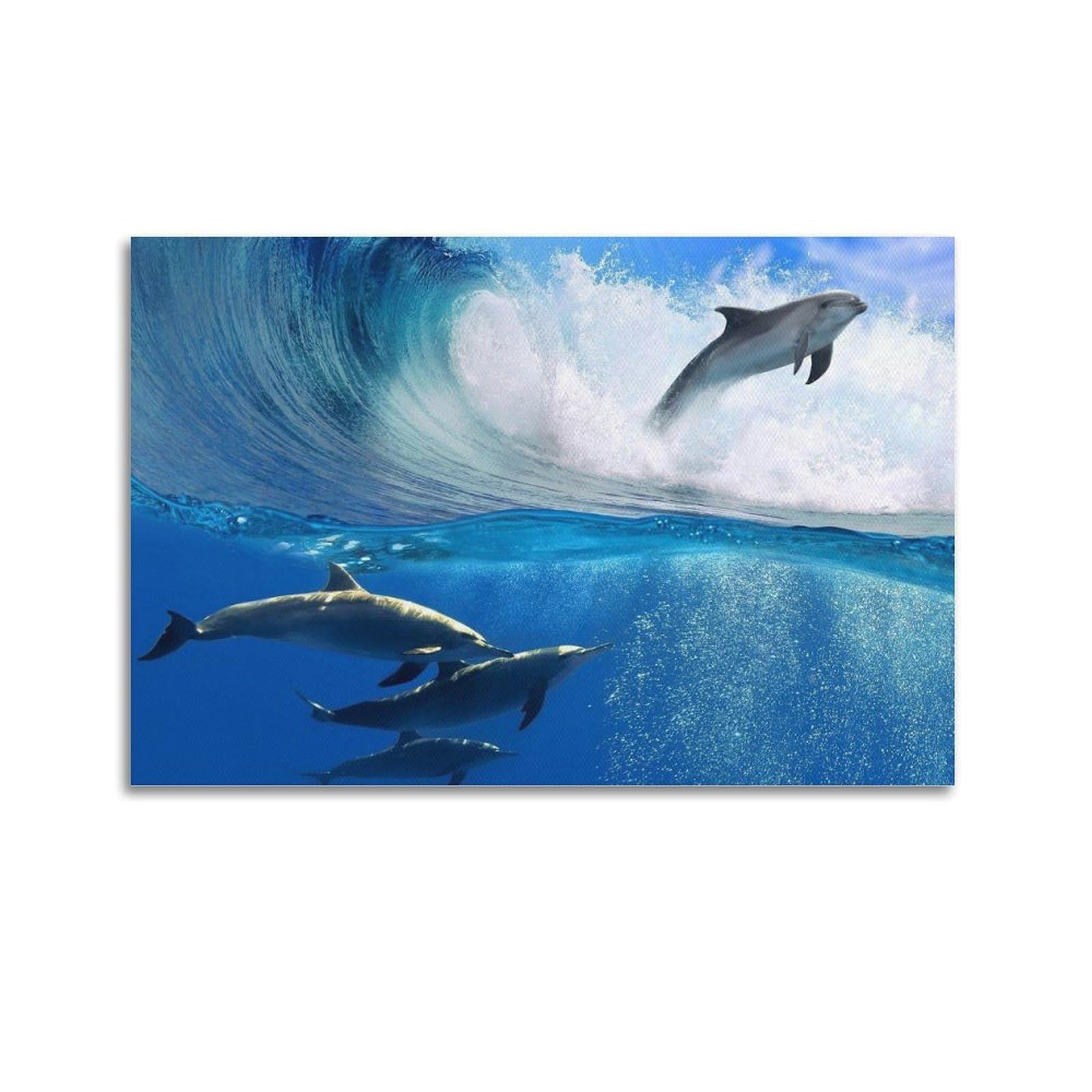 WZKTCL Beautiful Marine Life Poster Dolphin Poster Decorative Painting Canvas Wall Posters And Art Picture Print Modern Family Bedroom Decor Posters 24x36inch(60x90cm)