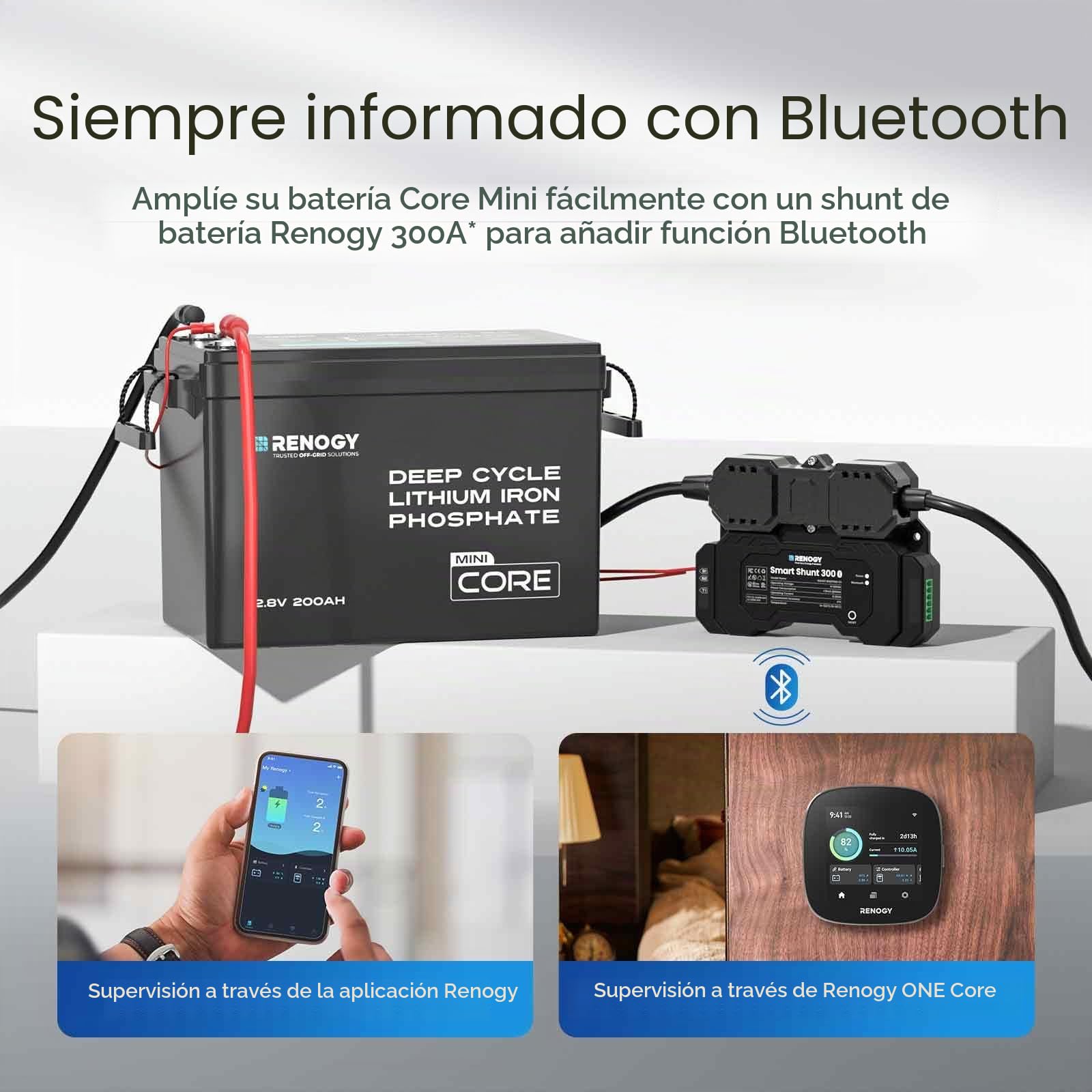Renogy Batería de Litio-Fosfato de Hierro LiFePO4 Core Mini de 12V 200Ah, BMS Mejorado 200A 5000 Ciclos Función de Protección contra el Frío Batería de Litio para Autocaravanas Sistema Solar Caravana