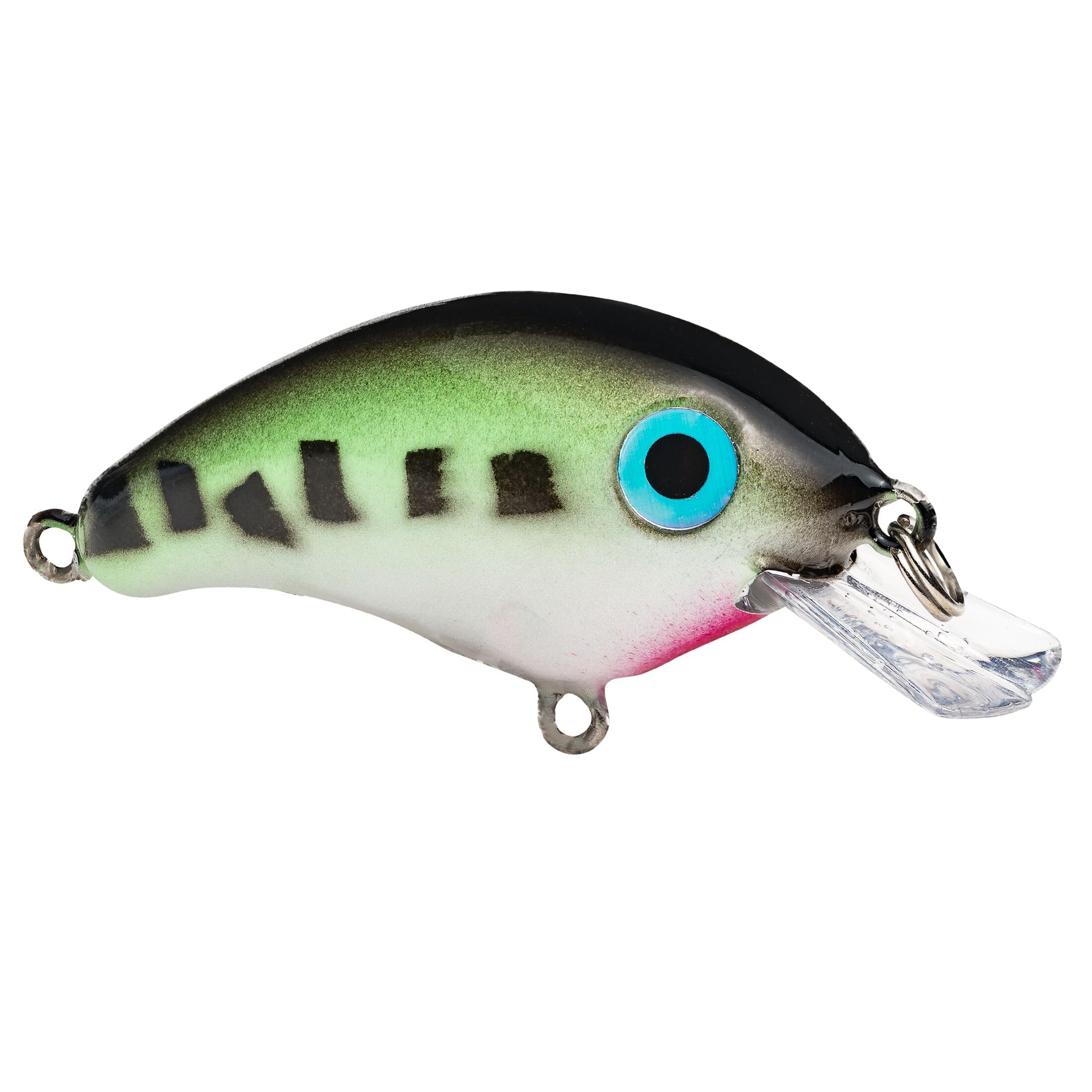 Amazon.com : Strike King (HCBPM-531) Bitsy Pond Minnow Crankbait