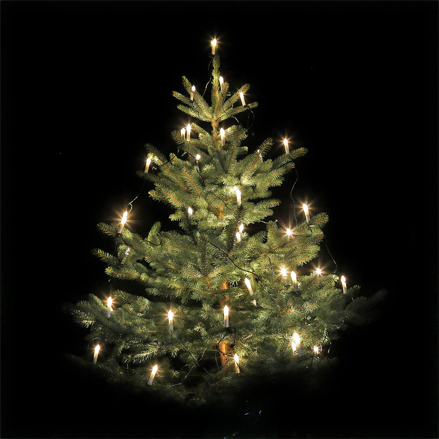 CLGarden LED Kerzen Lichterkette LEDKLK40 Kerzenlichterkette 40 Schaftlampen mit Kabel Timer