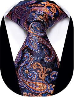 Sponsored Ad - YourTies 3.15'' Men's Necktie Paisley Floral Silk Ties for Men Formal Business Party Tie