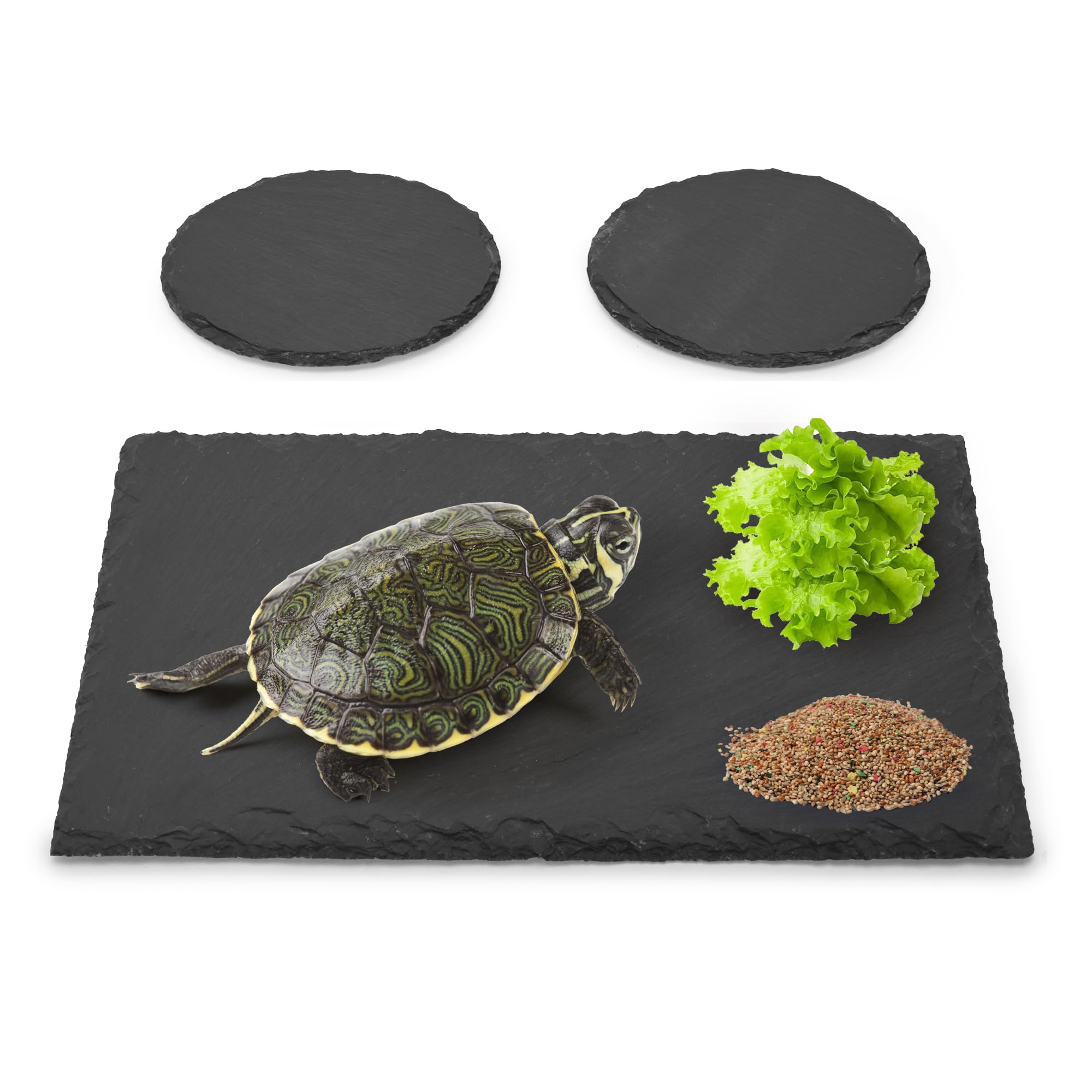 aleawol 3Pack Tortoise Slate Pad