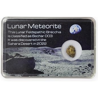 Tsukushi Science Lunar Meteorite Moon Rock Official Meteorite Name "Bechar003" Authenticity Moon-Origin Meteorite Lunar Rock that Fell in Algeria