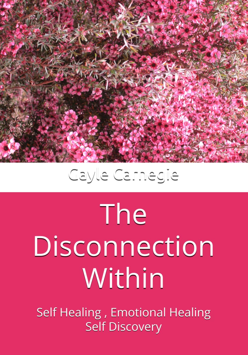 The Disconnection Within: Self Healing , Emotional Healing Self Discovery