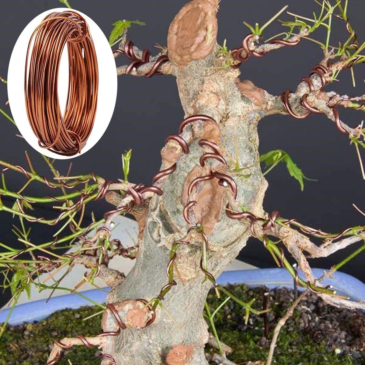 10 Rouleaux Bonsai Wires Fil De Formation Bonsai en Aluminium Anodisé en 5 Tailles Kit De Démarrage - 1,0 Mm, 1,5 Mm, 2,0 Mm, 2,5 Mm, 3,0 Mm, Total 164 Pieds Marron