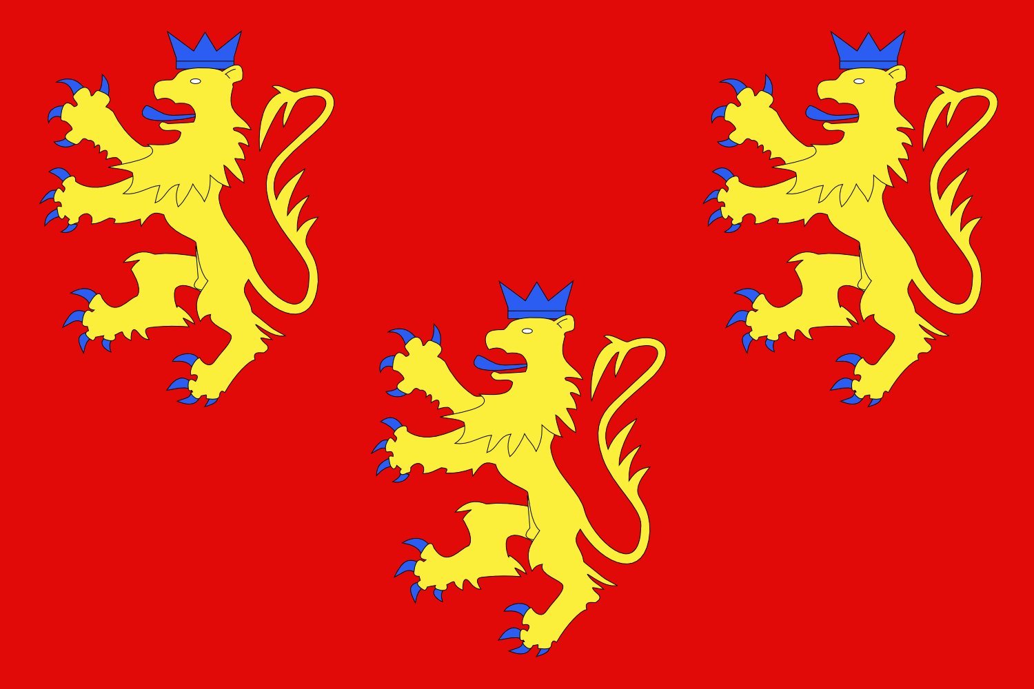 Drapeau XL Département de la Dordogne pavillon horizontal extérieur grand format résistant