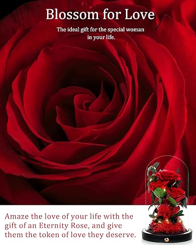 Miniatura 4 de Flores para el Día de la Madre, regalos para mamá, rosa preservada en cúpula de cristal, rosas reales para siempre, regalos de cumpleaños para