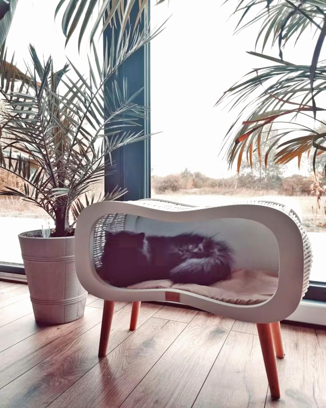 Wiklibox Wicker Cat Bed with Mattress - Infinity on Legs Design - Comfortable & Cozy Natural Bed for Cats - Indoor Kitten House with Thick & Durable Plywood - Handcrafted 100% Polish Pet Furniture