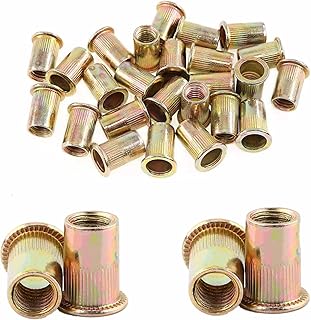 Rivet Nut Metric,20Pcs M12 Carbon Steel Flange Nut Threaded Insert Nut Flat Head Threaded Insert Rivet Nuts for Automotive Furniture Industrial Products