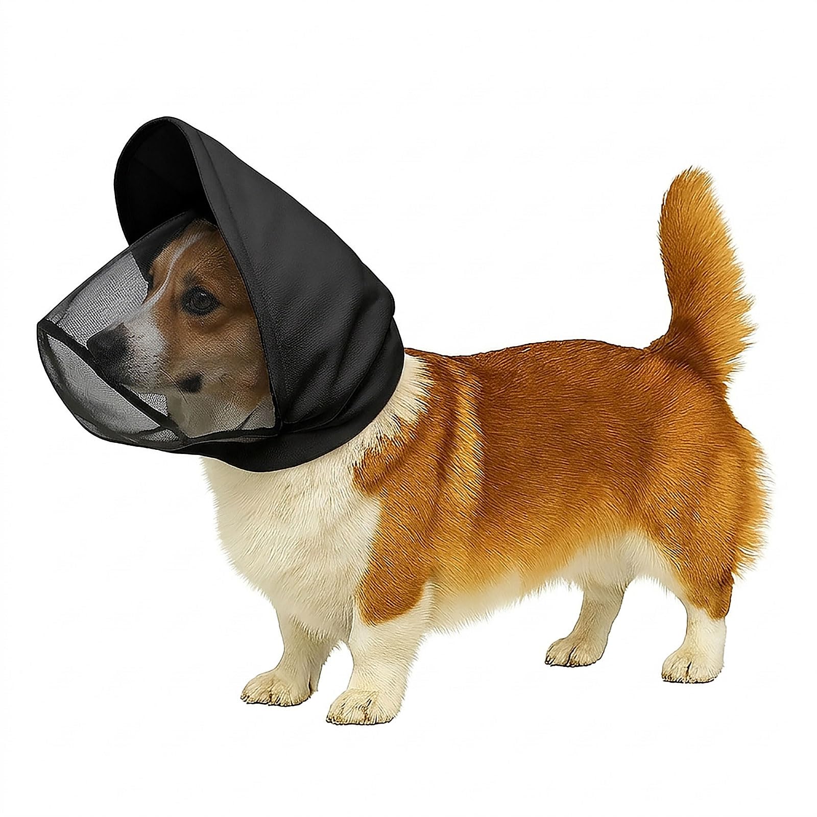 Colenumone Dog Mask for Outdoor Safety - Vet-Recommended Mesh Field Guard for Protection Against Foxtails, Grass Seeds and Debris | Breathable, Lightweight, Adjustable Buckle Design,Black（S）