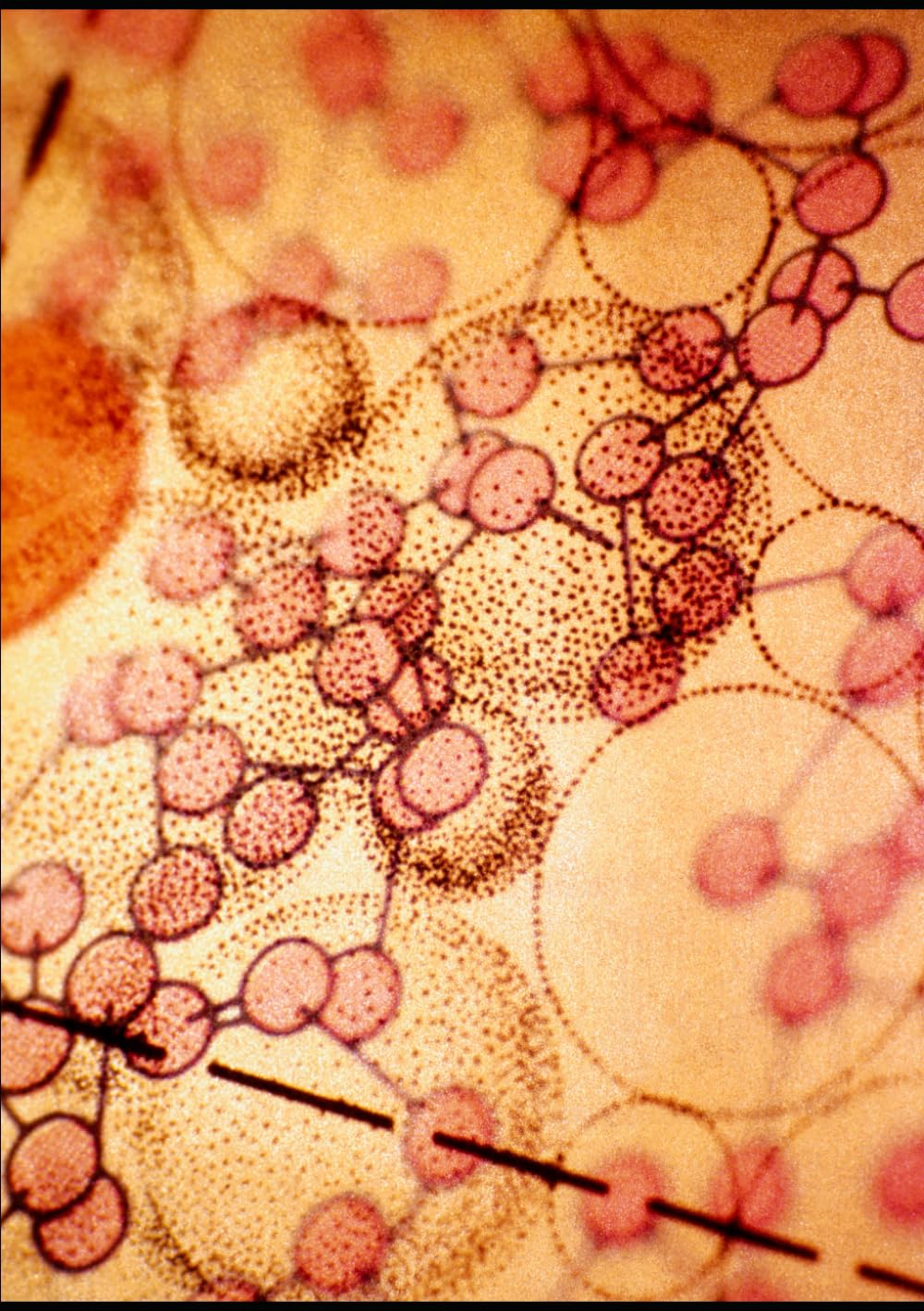 La photobiomodulation : Médecine préventive et curative de demain?: Bases scientifiques, mécanismes intégrés et applications cliniques en 2025