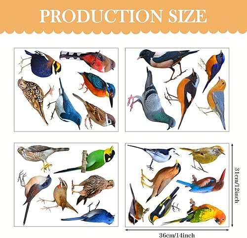 Miniatura 3 de Calcomanías de pared de pájaros 3D realistas, impermeables, de vinilo para decoración de pared, despegar y pegar, calcomanías de pared extraíbles