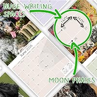 Vista 1128 de Razas de Perros 2017