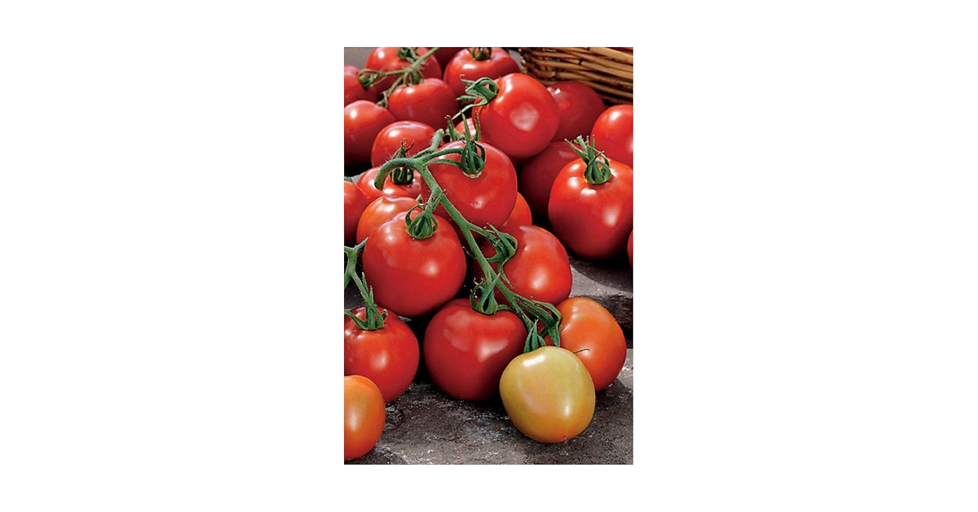 TOMATO　おまとめ商品 Hawaiian Haruki Tomato 25 Seeds | eBay