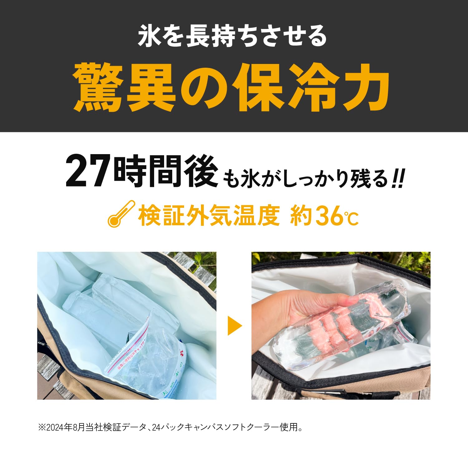 Amazon | AO Coolers(エーオークーラーズ) キャンバス ソフトクーラー 
