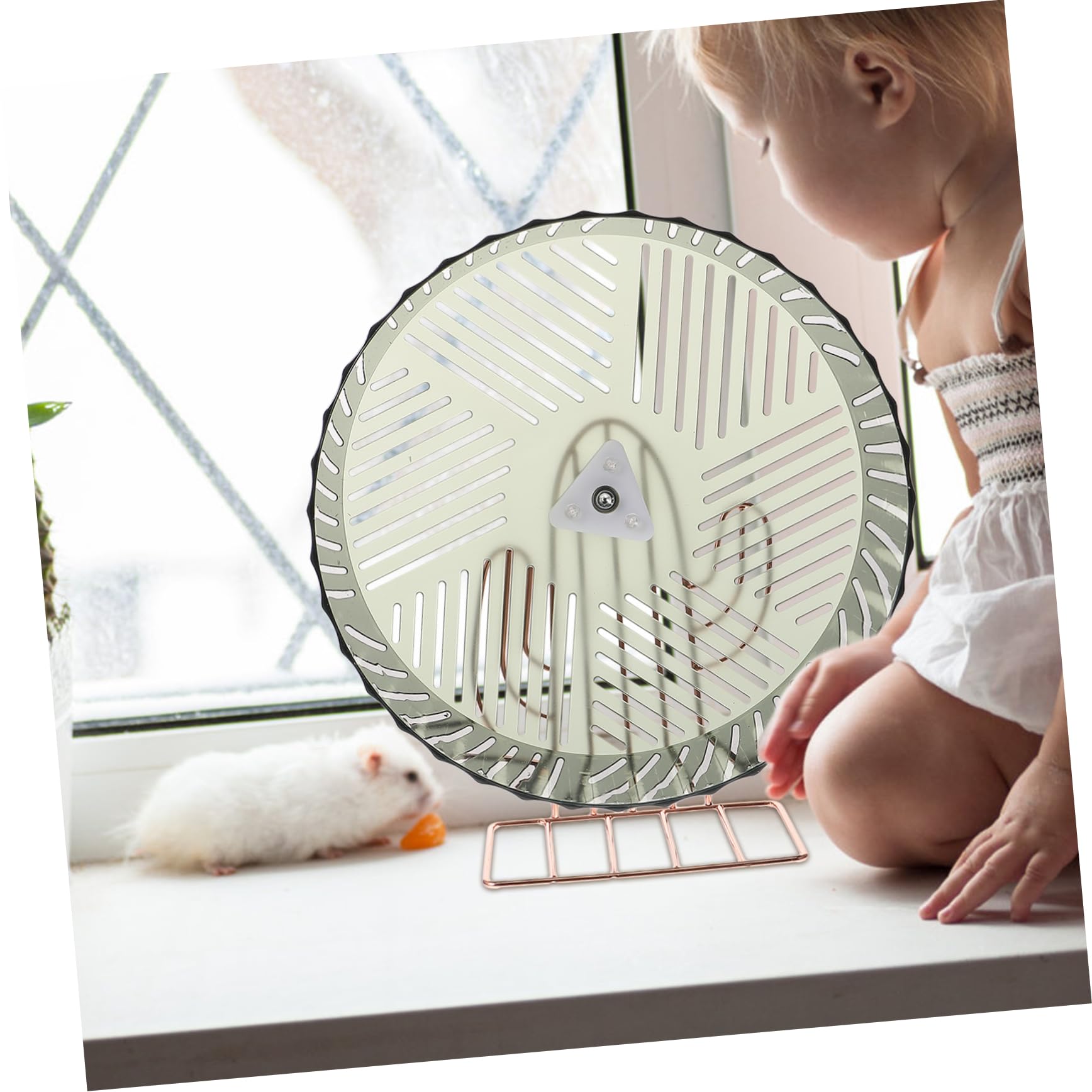 YARNOW Roue Exercise pour Hamster Roue Silencieuse pour Chinchilla pour Rat pour Cage