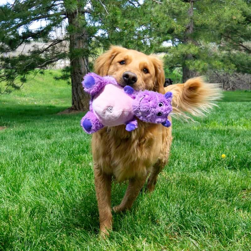 KONG Knots Belly - Soft Plush Exterior with Internal Skeleton Rope Ball and Squeaker (Hippo) image 4