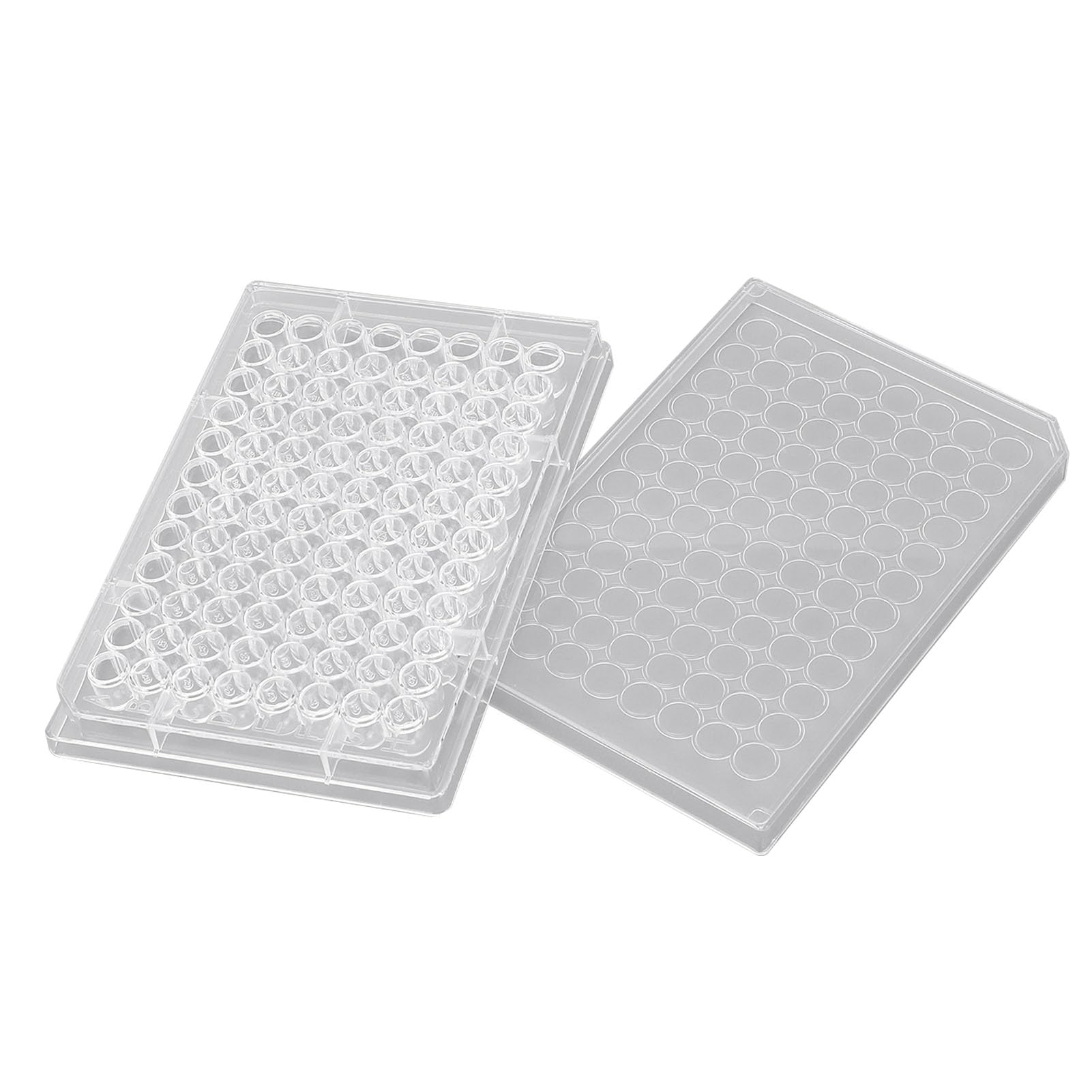 Placa de Cultivo de Tejido de Poliestireno Transparente de 10 Piezas con Pocillos Numerados para una Observación Precisa en el Laboratorio para el Crecimiento Celular (Parte inferior en