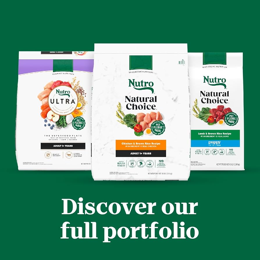 Amazon.com: Nutro Natural Choice Adult Dry Dog Food, Chicken