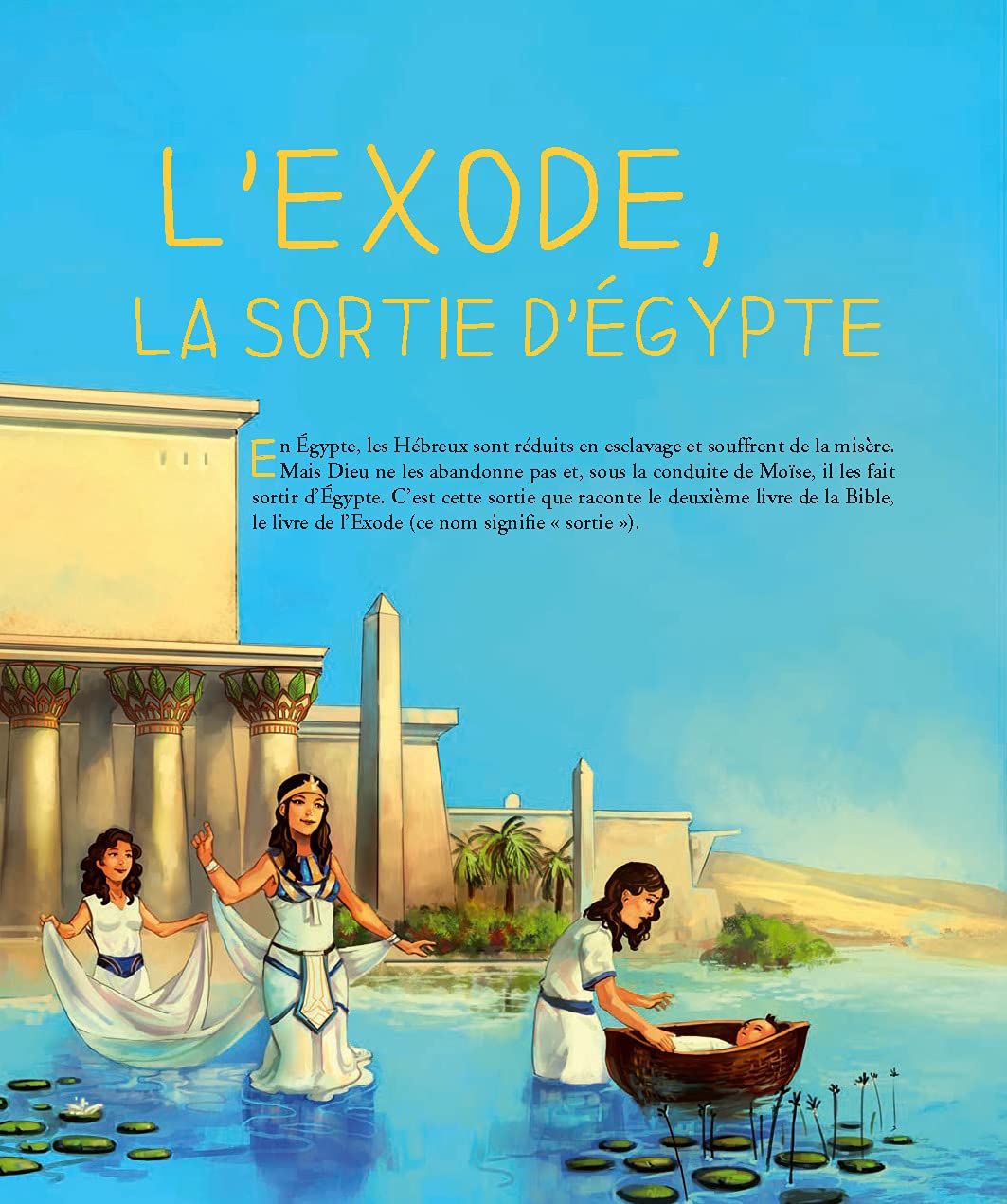 La Bible illustrée (couleur de couverture varié)