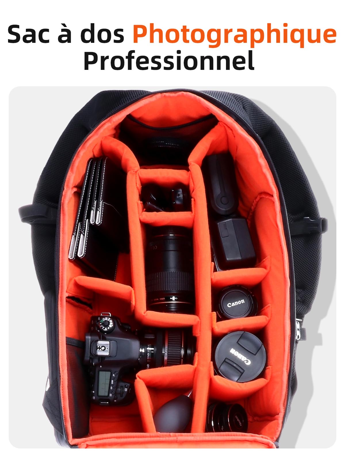 Sac à Dos pour Appareil Photo, Rollei Fotoliner Sac a Dos pour Photographes avec Compartiment pour Ordinateur Portable Sacs de Photographie pour Appareils Photo Reflex Numériques 33 x 56,5 x 22cm Noir